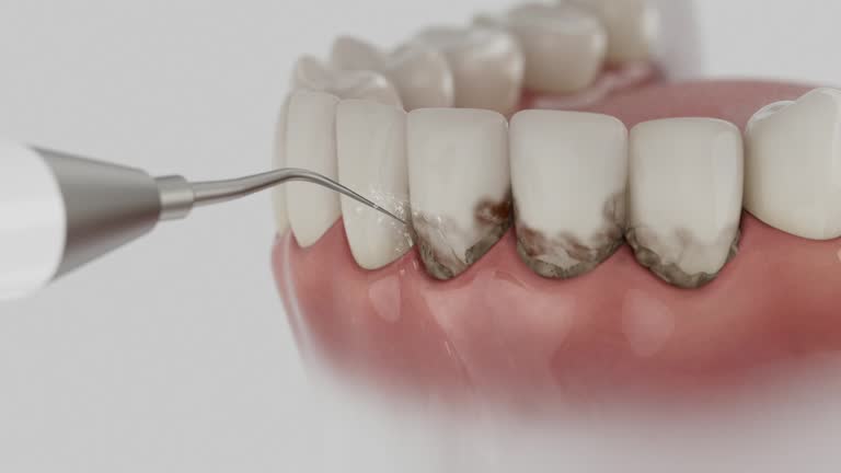 Reliable Dental contractor in Carrabelle, FL by Dentist Open Now